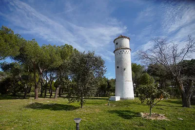 Finca La Talaverona