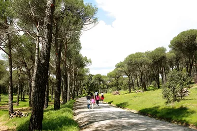 Naturaleza en Las Rozas