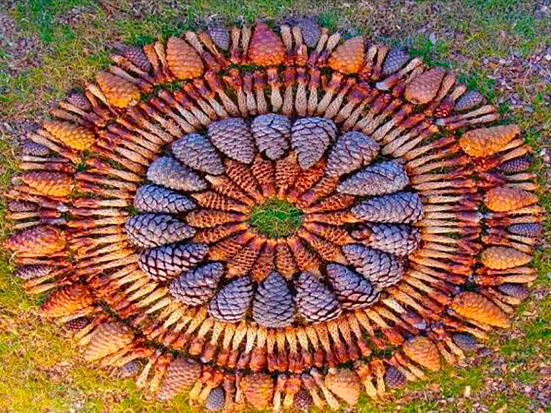 Land-Art: otoñarte