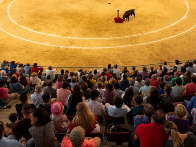 Cartel de lujo para este sábado en el II Festival de Primavera