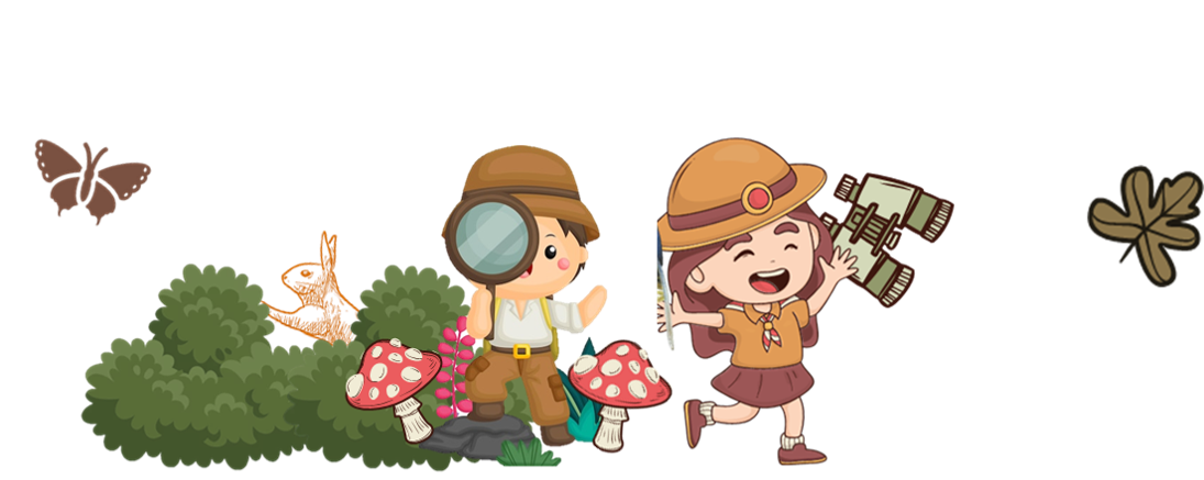 Pequeños exploradores marzo 2026