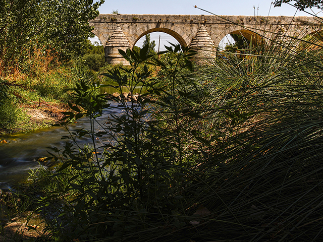 Puente del Retamar de Las Rozas