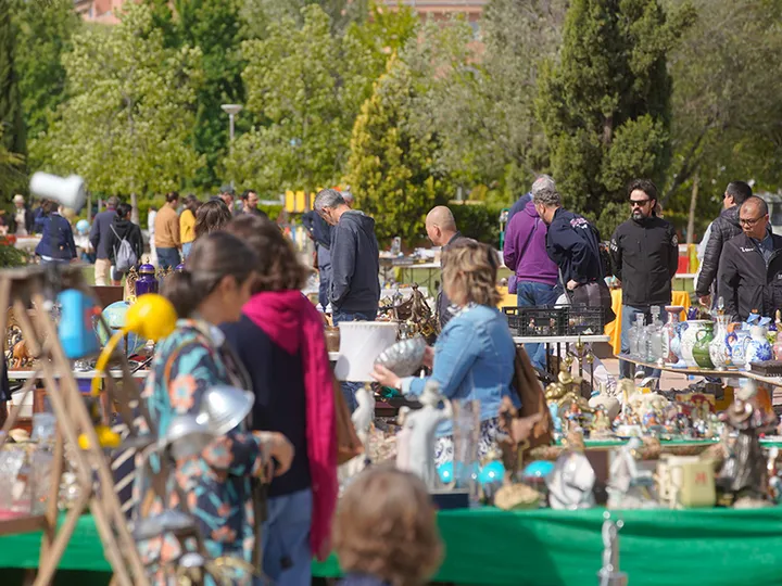 Rastro en Las Rozas