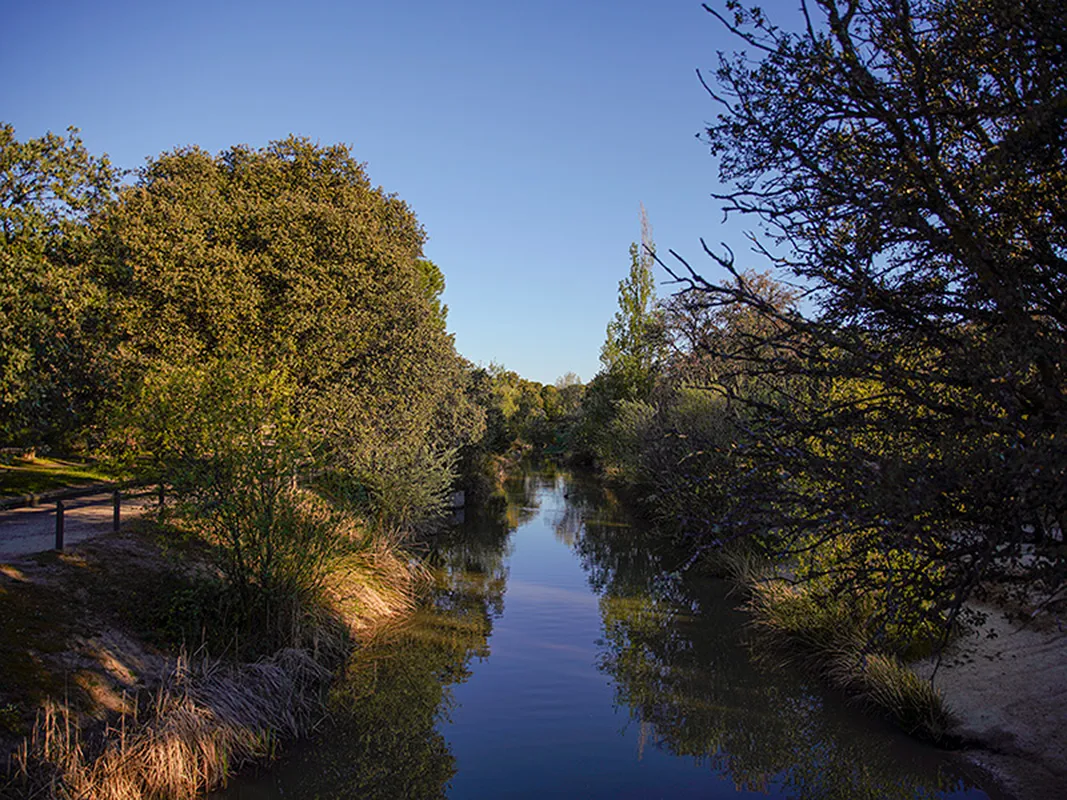 Canal de agua al paso de Las Rozas