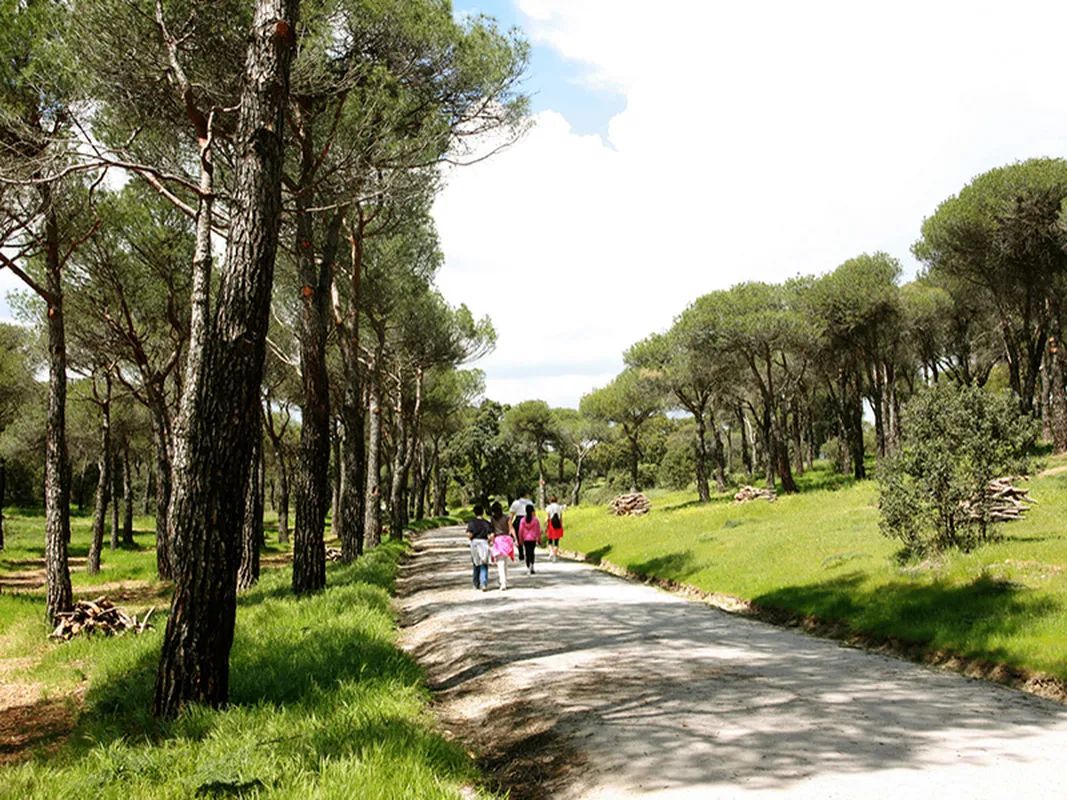Paseo al aire libre en Las Rozas
