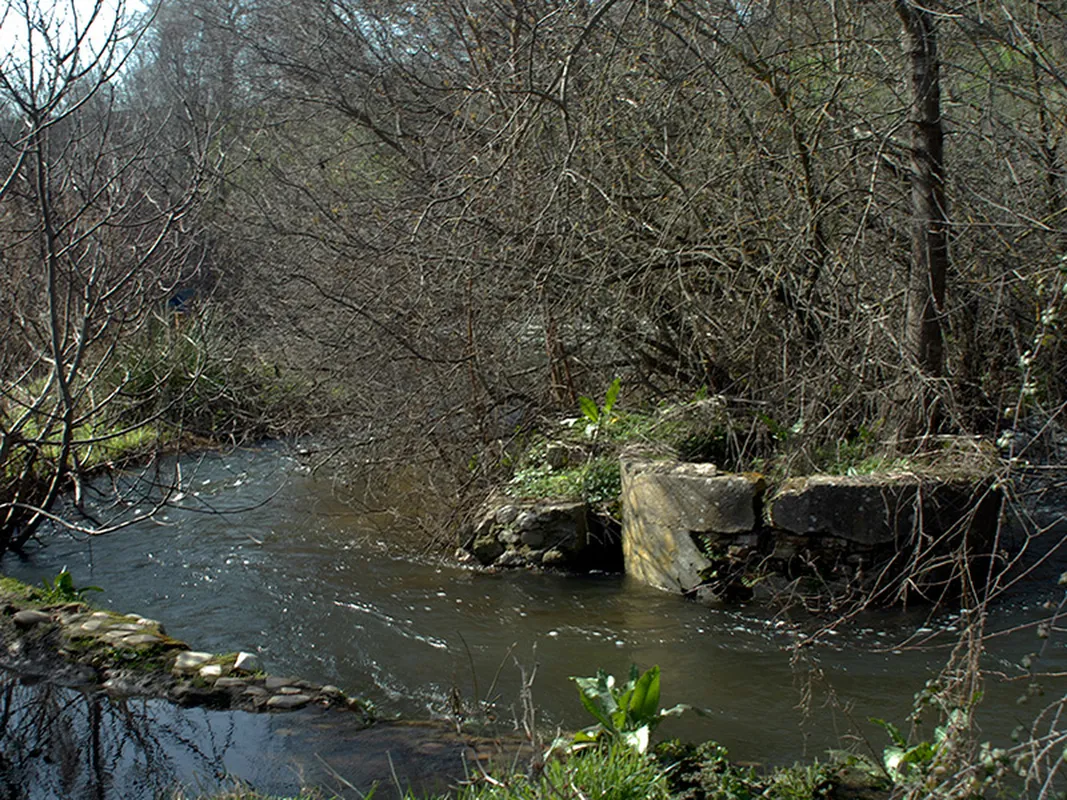 Rio en la naturaleza de Las Rozas