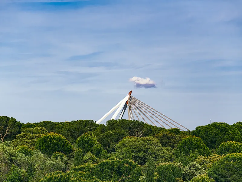 Imagen lejana del Puente de Las Rozas