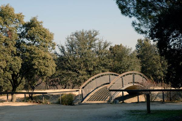 Puente Canal Dehesa de Navalcarbón
