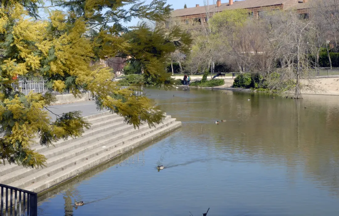 lago 2