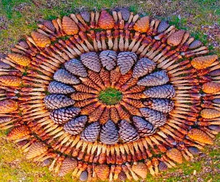 Land-Art: otoñarte