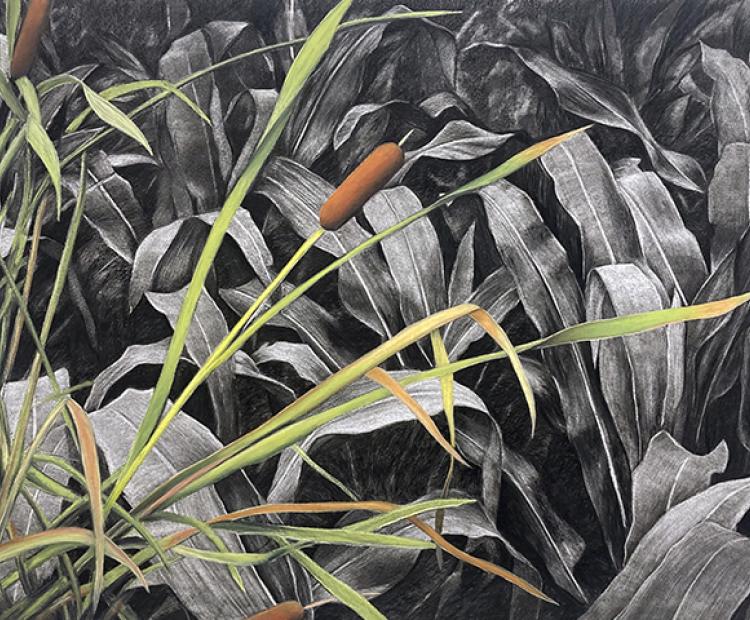 Exposición: Ecologías del colapso