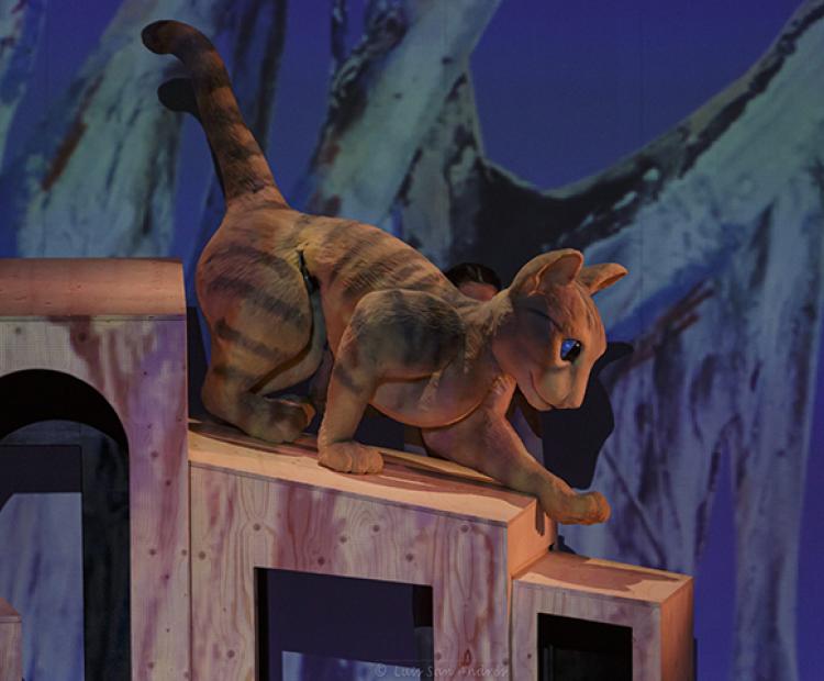 La gata que quería cambiar la historia