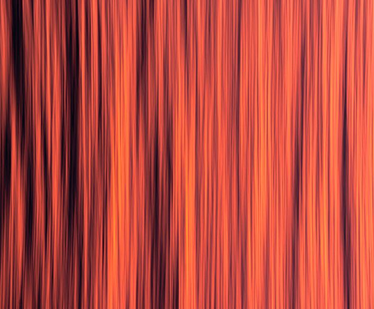 Exposición. Fotografía, experiencia y territorio. Las Rozas