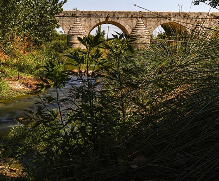 Puente del Retamar de Las Rozas