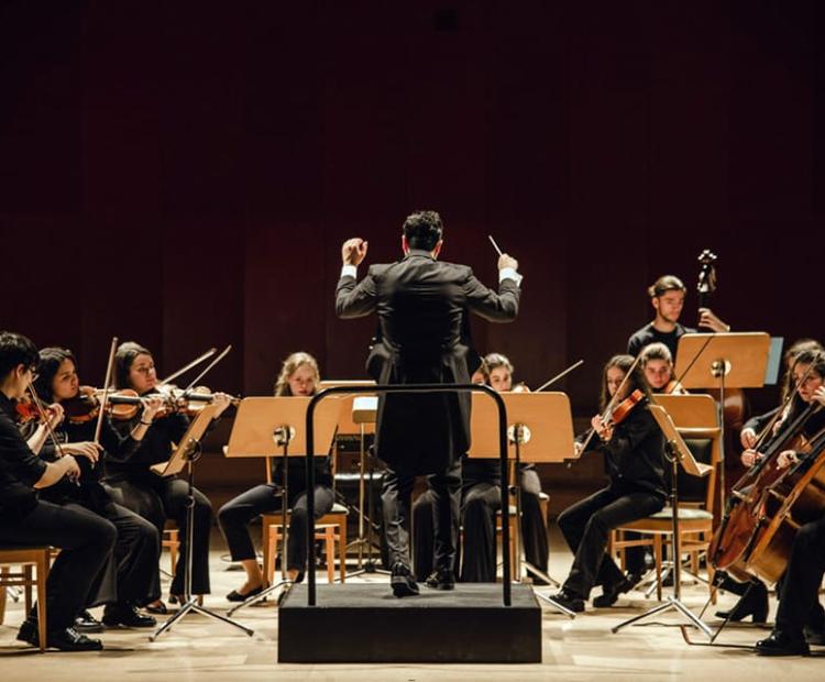 Magic Night: Orquesta de Cámara de la JOsM
