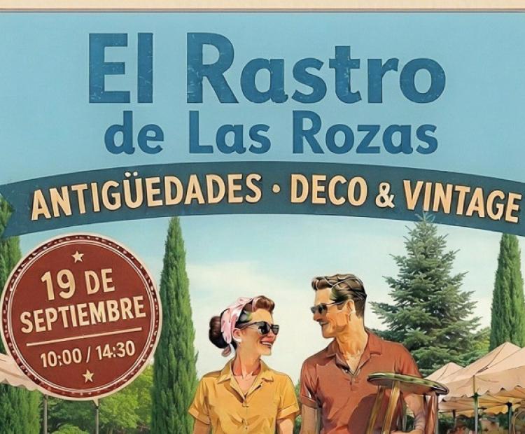 El Rastro de Las Rozas