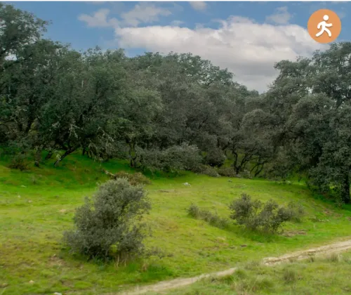 Imagen aerea del sendero de la Finca Los Viales para Vista Resumen