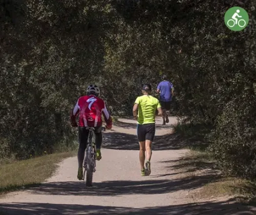 Vista de la ruta Single Track Pinar menu