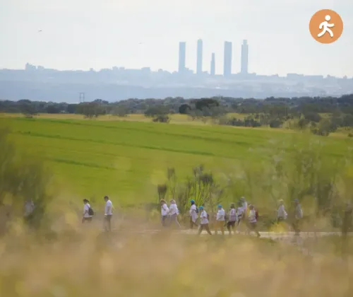 Vista resumen de la ruta Cuatro Torres