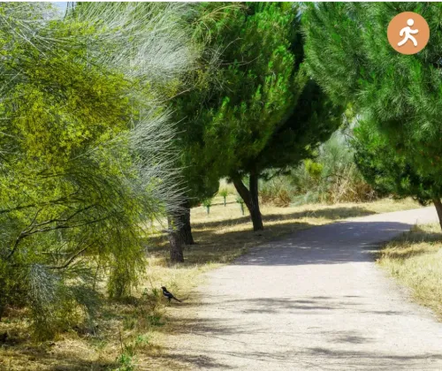 Vista resumen de la ruta La Marazuela-El Tejar