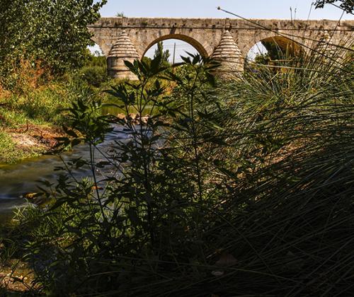 Puente del Retamar de Las Rozas