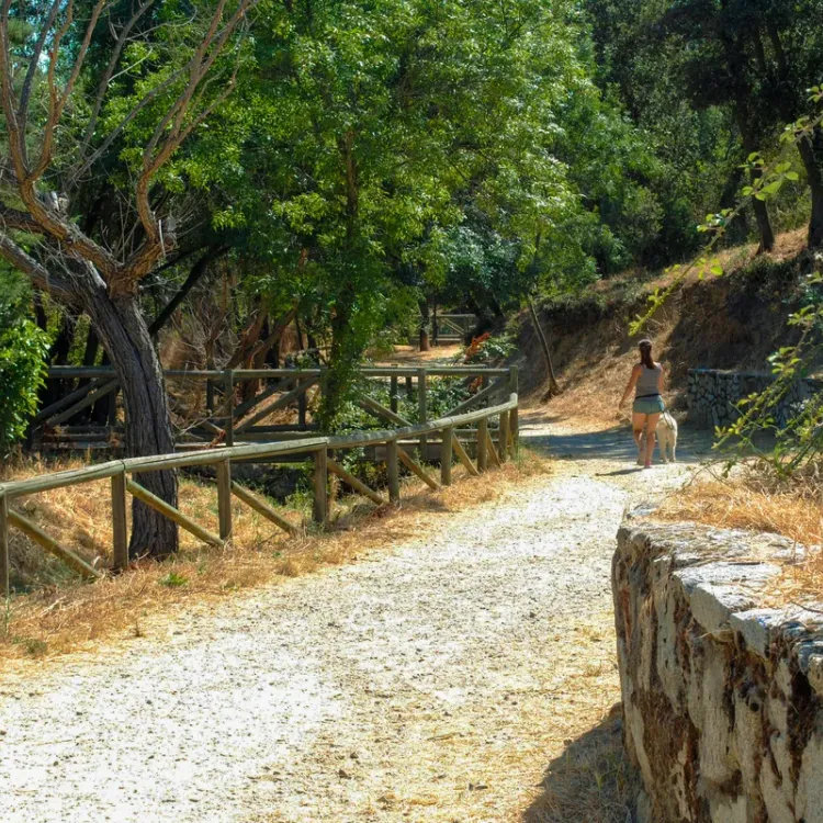 Imagen principal del Sendero de Majalacabra