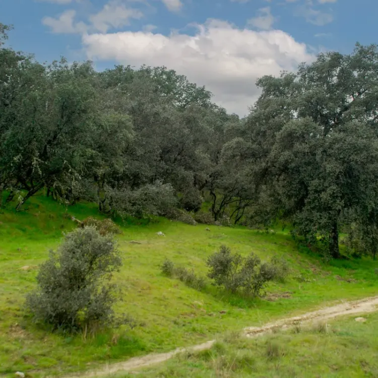Vista de la ruta del sendero de la Finca Los Viales