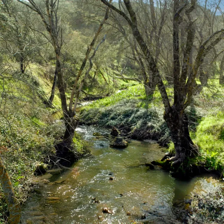 Vista de la ruta del Arroyo de la Torre