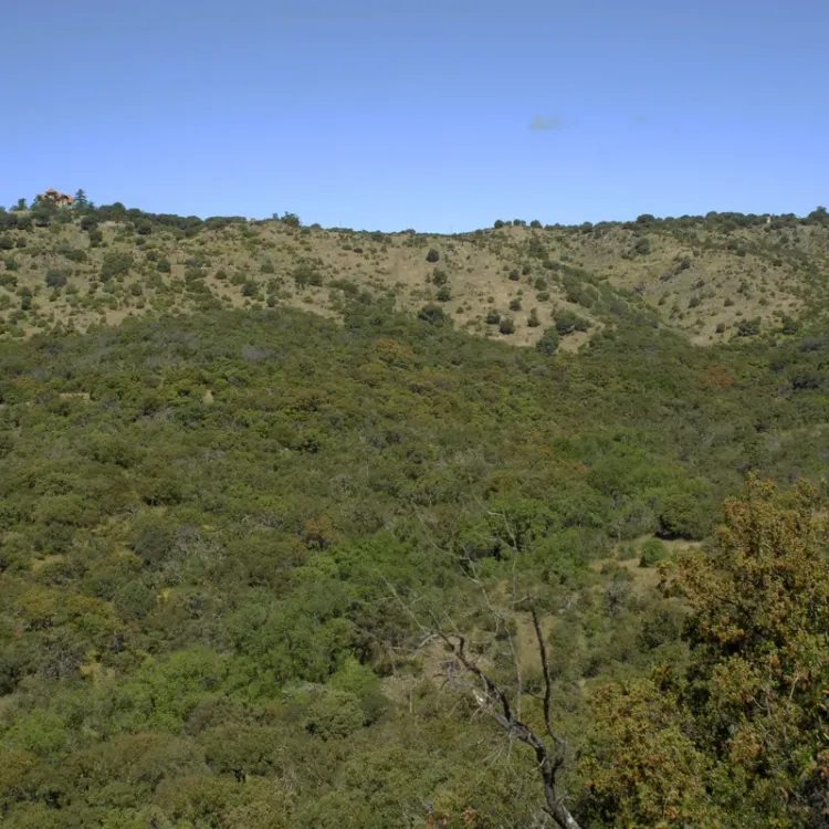 Vista de la ruta Puente del Retamar-La Retorna