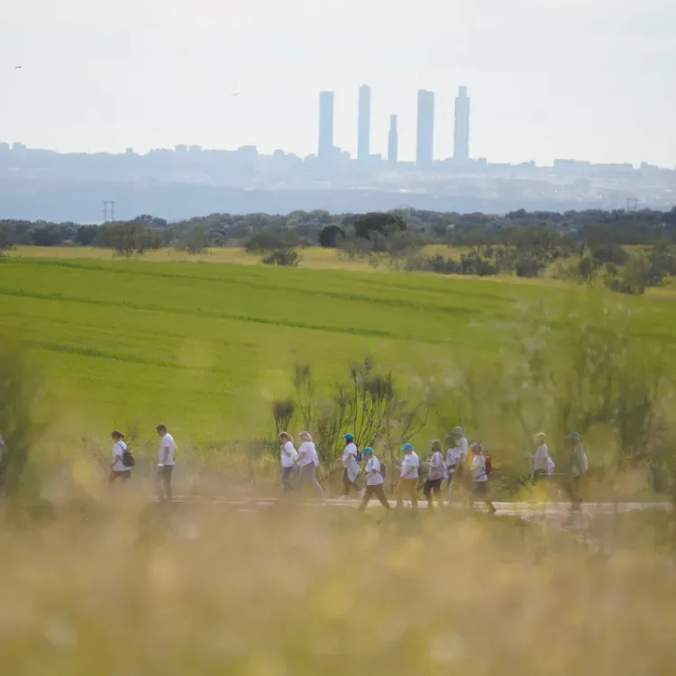 Vista de la ruta Cuatro Torres