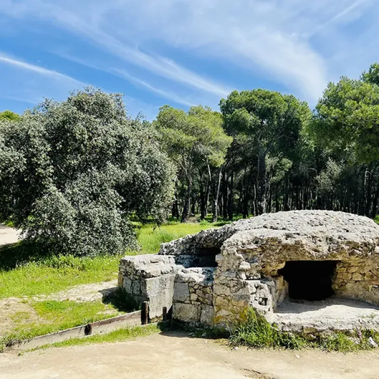 Vista de la ruta Bunkers de la Dehesa