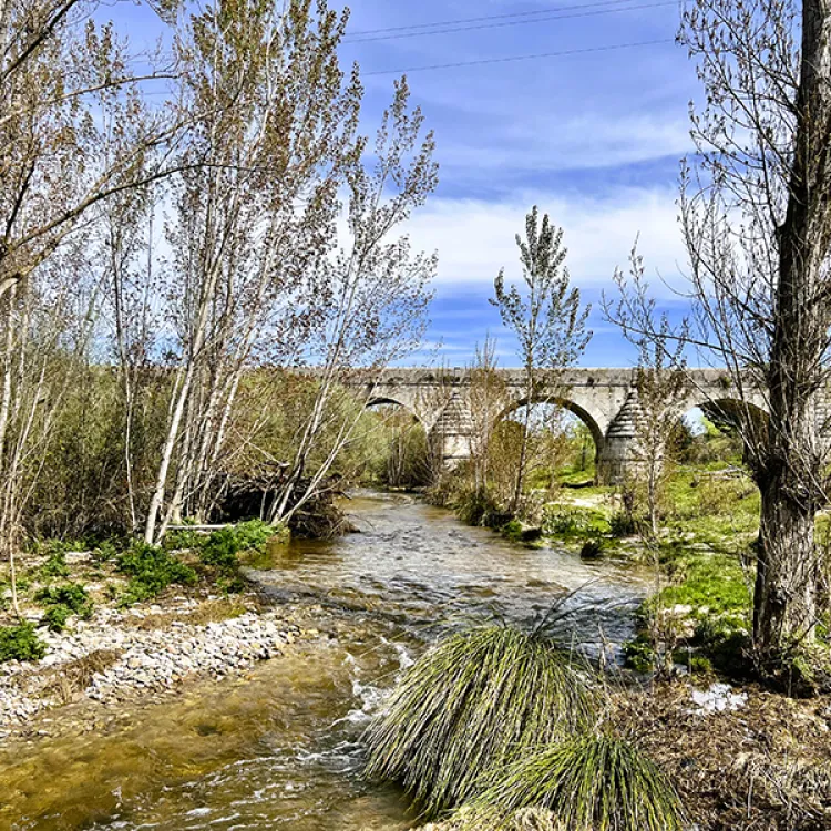 Vista de la ruta del sendero Embalse Molino - Puente del Retamar