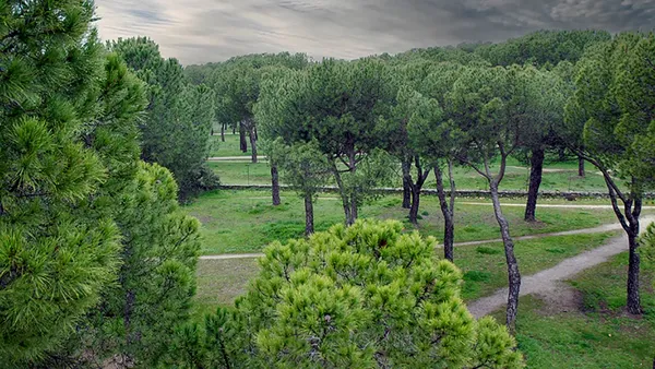 Rutas y naturaleza